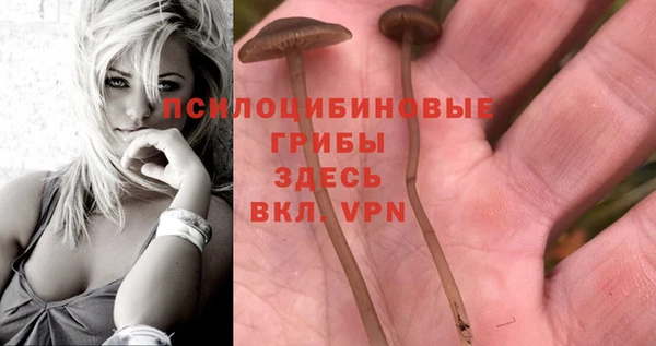 СК Алексеевка